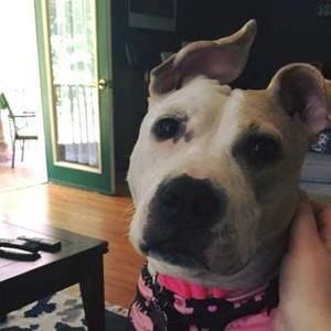 Meet your Posher, Theresa